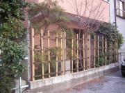 ��ûԡ�����š